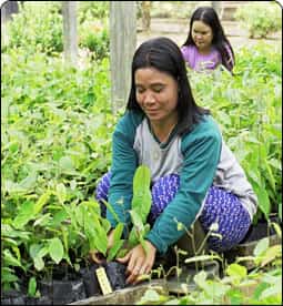 The Upper Seruyan landscape